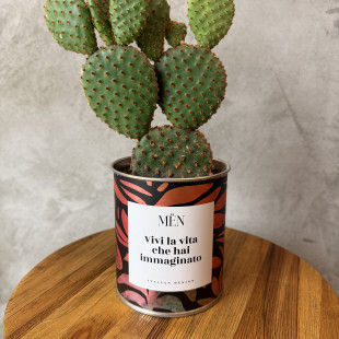 CACTUS MËN "VIVI LA VITA CHE HAI IMMAGINATO"