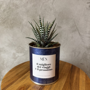 CACTUS MËN "IL MIGLIORE DEI VIAGGI E' IL PROSSIMO"