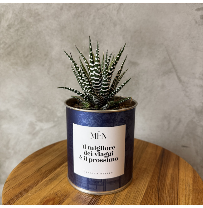 CACTUS MËN "IL MIGLIORE DEI VIAGGI E' IL PROSSIMO"