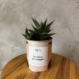 CACTUS MËN "LA VITA E' UN VIAGGIO"