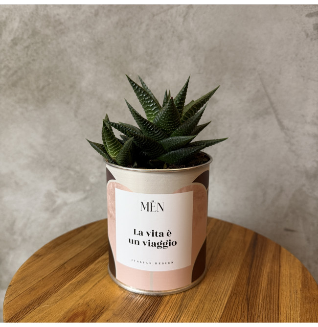CACTUS MËN "LA VITA E' UN VIAGGIO"