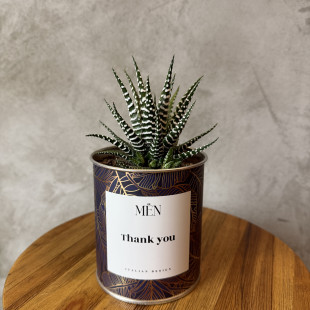 CACTUS MËN "THANK YOU"