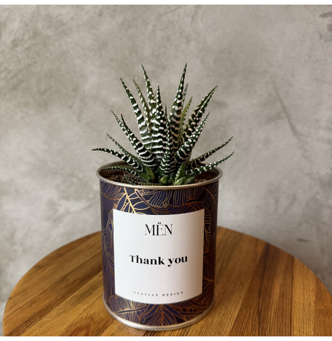 CACTUS MËN "THANK YOU"