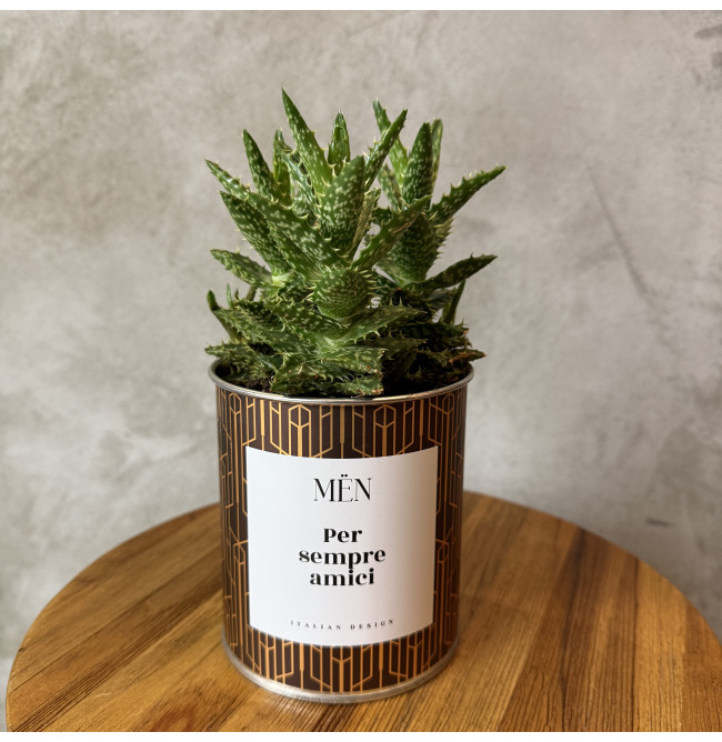 CACTUS MËN "PER SEMPRE AMICI"