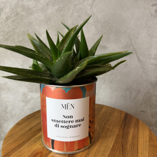 CACTUS MËN "NON SMETTERE MAI DI SOGNARE"