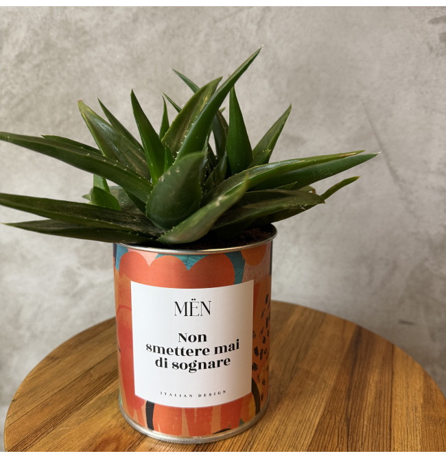 CACTUS MËN "NON SMETTERE MAI DI SOGNARE"
