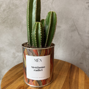 CACTUS MËN "METTIAMO RADICI"