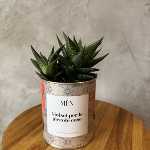 CACTUS MËN "GIOISCI PER LE PICCOLE COSE"