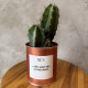 CACTUS MËN &quot;ALLE PICCOLE ATTENZIONI&quot;