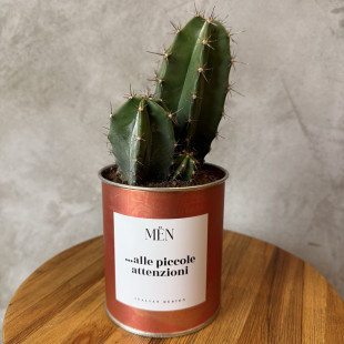 CACTUS MËN "ALLE PICCOLE ATTENZIONI"