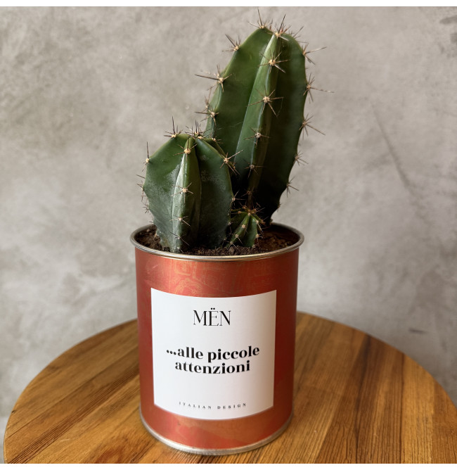 CACTUS MËN "ALLE PICCOLE ATTENZIONI"