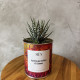 CACTUS MËN &quot;SARA&#039; PERCHE&#039; TI AMO&quot;