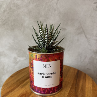 CACTUS MËN "SARA' PERCHE' TI AMO"
