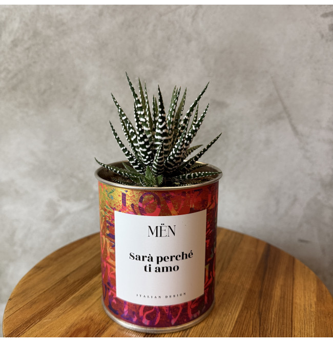 CACTUS MËN "SARA' PERCHE' TI AMO"