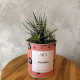 CACTUS MËN &quot;FORTUNA CHE CI SEI&quot;