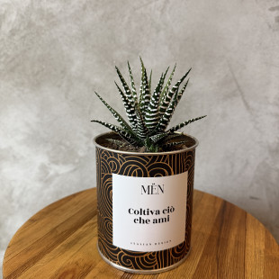 CACTUS MËN "COLTIVA CIO' CHE AMI"