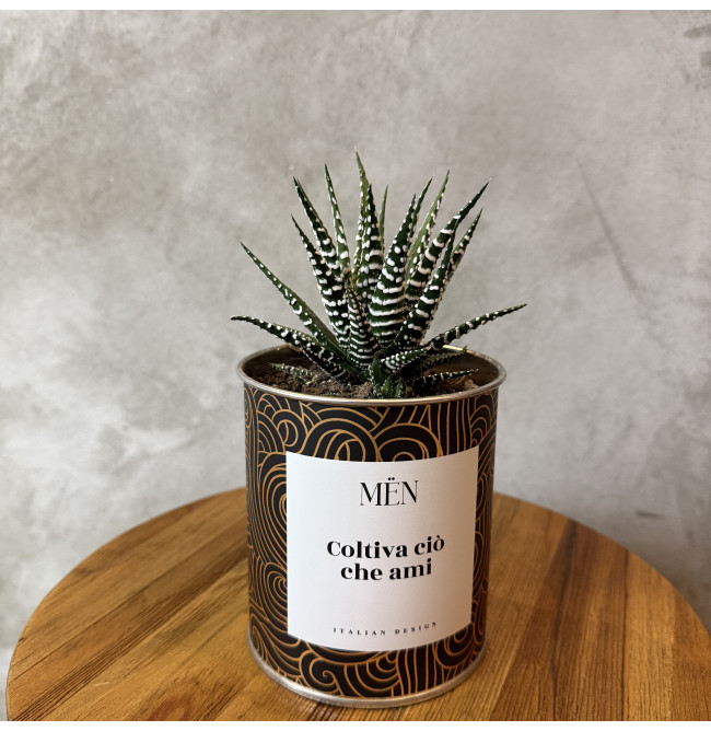 CACTUS MËN "COLTIVA CIO' CHE AMI"