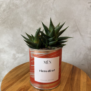 CACTUS MËN "FIERO DI TE"