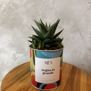 CACTUS MËN "SOGNA IN GRANDE"