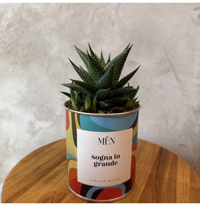 CACTUS MËN "SOGNA IN GRANDE"