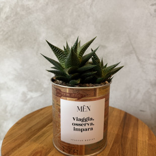 CACTUS MËN "VIAGGIA, OSSERVA, IMPARA"