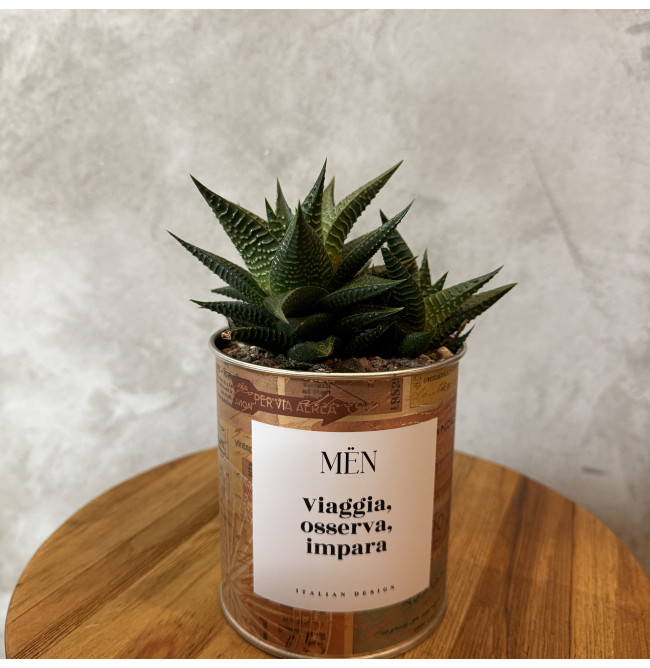 CACTUS MËN "VIAGGIA, OSSERVA, IMPARA"