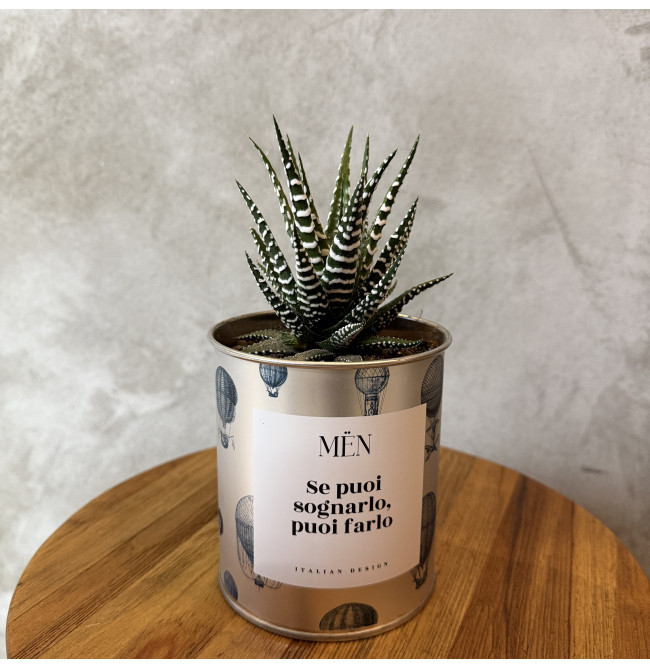 CACTUS MËN "SE PUOI SOGNARLO, PUOI FARLO"