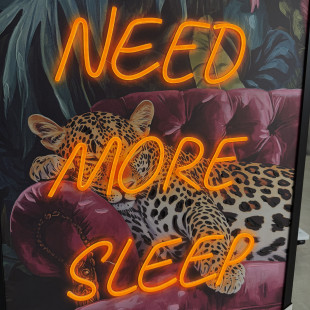 QUADRO LED MORE SLEEP 60X80
