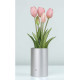 MAZZO DI TULIPANI PROFUMATI - PINK