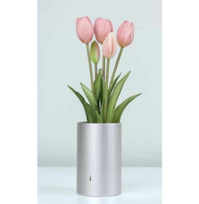 MAZZO DI TULIPANI PROFUMATI - PINK