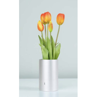 MAZZO DI TULIPANI PROFUMATI - ORANGE