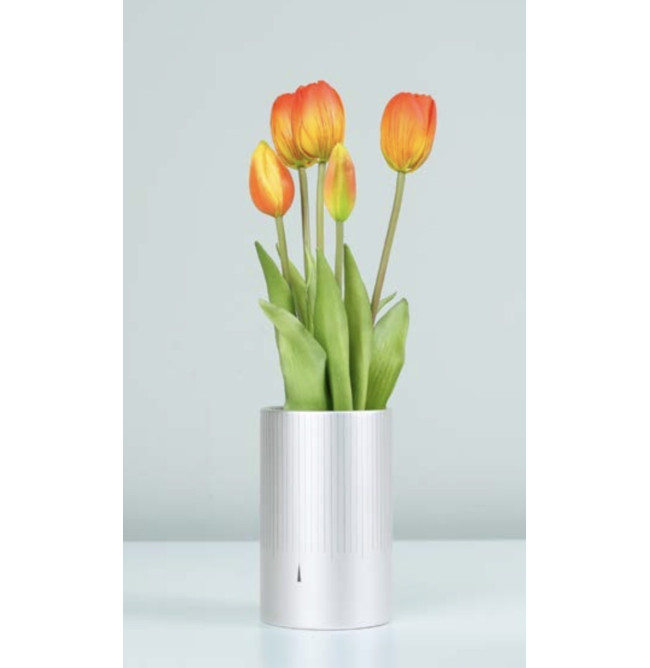 MAZZO DI TULIPANI PROFUMATI - ORANGE