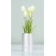 MAZZO DI TULIPANI PROFUMATI - WHITE