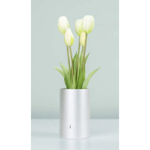 MAZZO DI TULIPANI PROFUMATI - WHITE