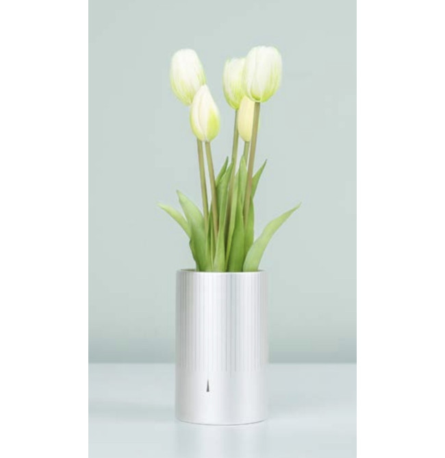 MAZZO DI TULIPANI PROFUMATI - WHITE