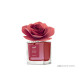 ROSA MELOGRANO 100ML