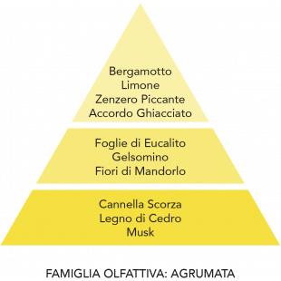 DIFFUSORE D'AMBIENTE GHIACCIO E ZENZERO