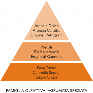 DIFFUSORE D'AMBIENTE ARANCIA CANDITA