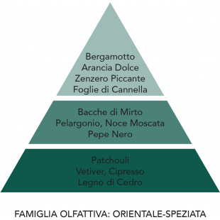 DIFFUSORE D'AMBIENTE VIA DELLE SPEZIE