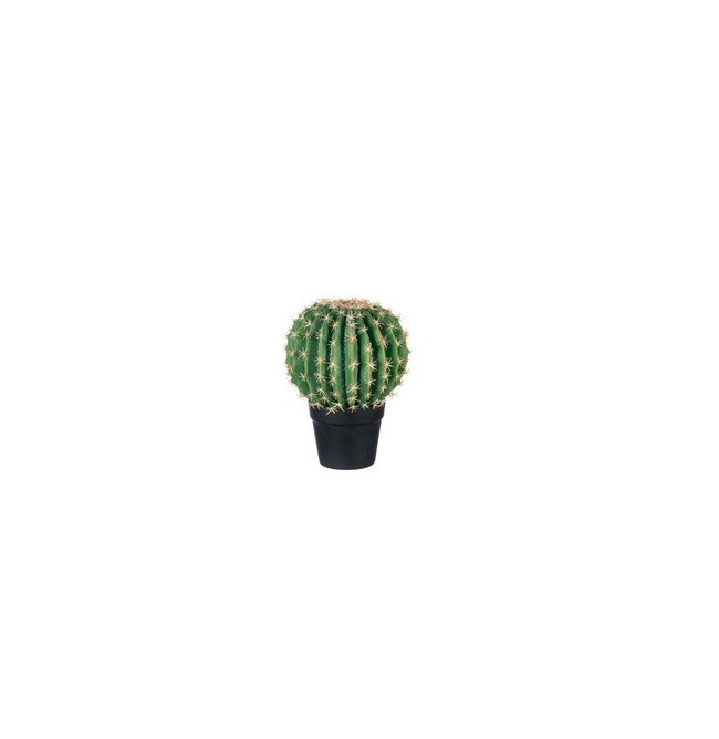 CACTUS PALLA MEDIO + VASO NERO