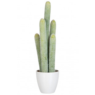 CACTUS 5 VERDE CHIARO VASO BIANCO