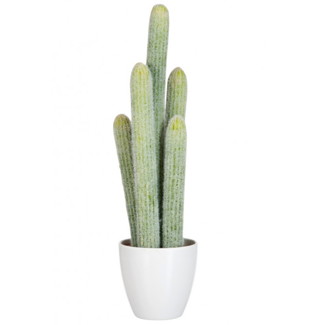 CACTUS VASO BIANCO