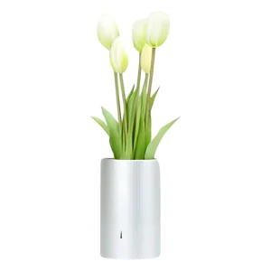 MAZZO DI TULIPANI - WHITE