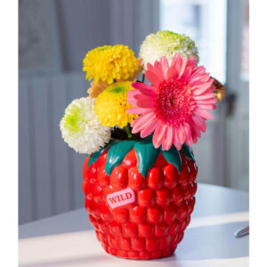 VASO FRAGOLA FARMES MARKET