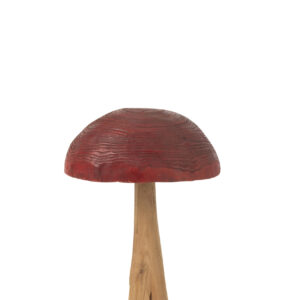 FUNGO LEGNO ROSSO MEDIUM