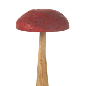 FUNGO LEGNO ROSSO LARGE