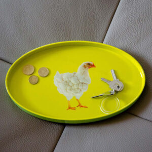 VASSOIO SVUOTATASCHE MYKONOS OVALE - GALLINA