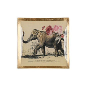 PIATTINO QUADRATO ELEFANTE4030195642422