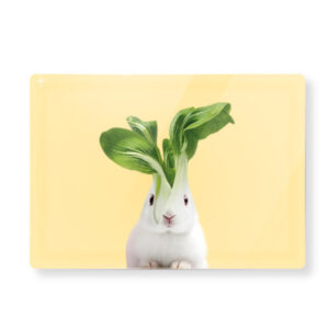 TAGLIERE IN VETRO DECORO BIETOLA