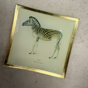PIATTINO QUADRATO ZEBRA